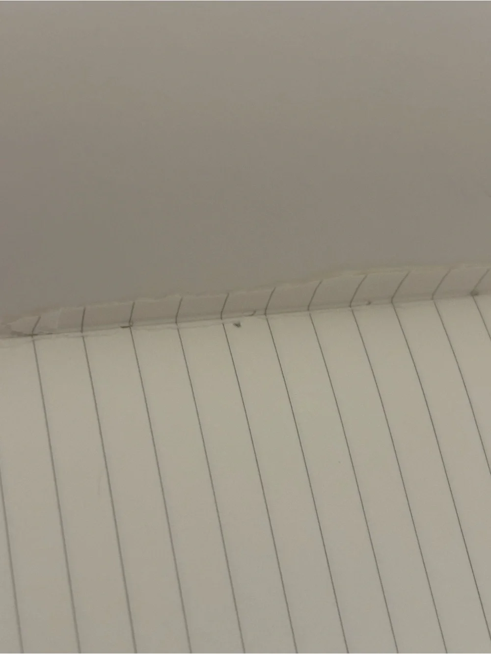 Paperpage gently used